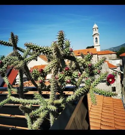 Rooftop